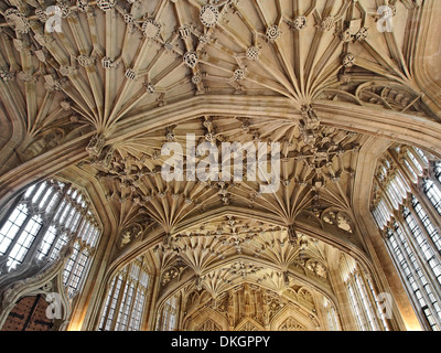 Universität Oxford, Divinity School gewölbte Decke Stockfoto