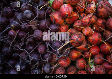 rote und violette Rüben auf dem Bauernmarkt Stockfoto