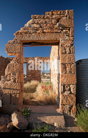 Steinmauern und Tür - Ruinen der alten speichern mit Wildblumen und Rasen am historischen Outback Stadt Milparinka NSW Australia Stockfoto
