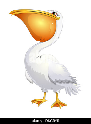 schöne Pelikan auf weißem Hintergrund Stockfoto