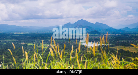 Sri Lanka Landschaft, genommen von der Spitze der Felsenfestung Sigiriya (Lion Rock), Sigiriya, Sri Lanka, Asien Stockfoto