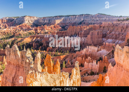 Hoodoo Felsformationen im Bryce Canyon Amphitheater, Bryce-Canyon-Nationalpark, Utah, Vereinigte Staaten von Amerika, Nordamerika Stockfoto