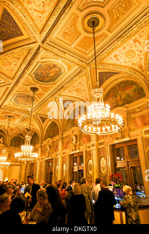 Wiener Oper, Wien, Österreich, Europa Stockfoto