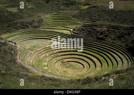 Inca landwirtschaftliche Forschung Station, Moray, Peru, Südamerika Stockfoto