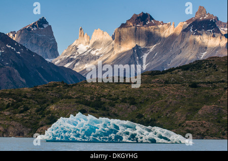 Eisberg am Lago Grey See im Nationalpark Torres del Paine, Patagonien, Chile, Südamerika Stockfoto