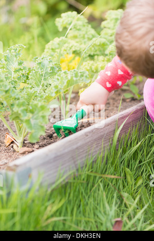 Nahaufnahme des jungen Kindes im Garten helfen mit Gemüsepflanzen, Graben in der Erde. Stockfoto