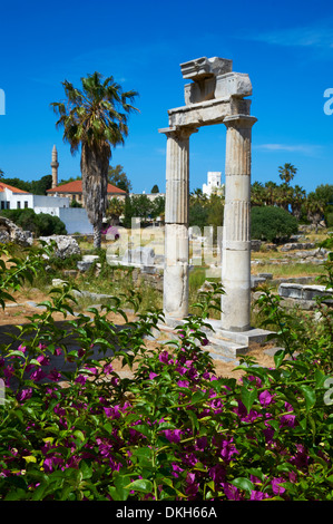 Agora, Kos Stadt, Kos, Dodekanes, griechische Inseln, Griechenland, Europa Stockfoto