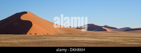 Eisen roten Dünen in der späten Nachmittagssonne am Sossusvlei, Namib Naukluft, Namibia, Afrika Stockfoto