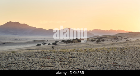 Die Sonne beginnt zu leuchten die fernen Berge am NamibRand Nature Reserve, Namib-Wüste, Namibia, Afrika Stockfoto