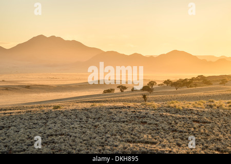 Sonnenaufgang am NamibRand Nature Reserve, Namib-Wüste, Namibia, Afrika Stockfoto