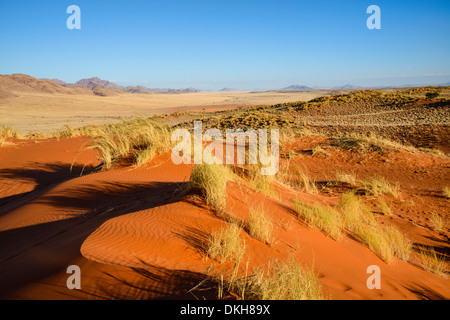 Die rote Sand der Dünen der Namib-Wüste, Namibia, Afrika NamibRand oxidiert Stockfoto