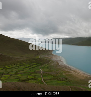 Luftaufnahme der Straße, die durch landwirtschaftliche Felder entlang Yamdrok Lake, Nagarze, Shannan, Tibet, China Stockfoto