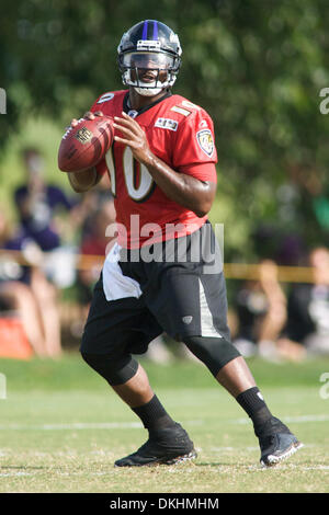 12. August 2009 - Westminster, Maryland, USA - 11. August 2009: Baltimore Ravens Quarterback Troy Smith bei den Baltimore Ravens 2009 Trainingslager am Mc Daniels College in Westminster, Maryland (Credit-Bild: © Southcreek Global/ZUMApress.com) Stockfoto