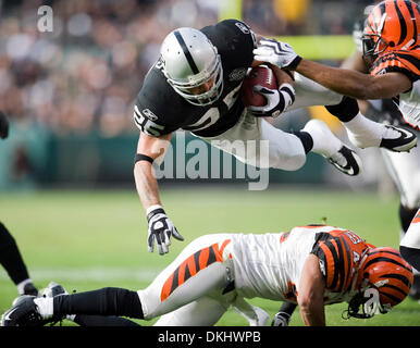 22. November 2009 gewinnen - Oakland, CA, USA - Oakland Raiders Justin Fargas Tauchgänge für Atwelve Hof für eine erste und Tor im zweiten Quartal über Cincinnati Bengals Chris Crocker im Oakland Coliseum. (Kredit-Bild: © Paul Kitagaki Jr./Sacramento Bee/ZUMApress.com) Einschränkungen: * USA Tabloid Rechte heraus * Stockfoto