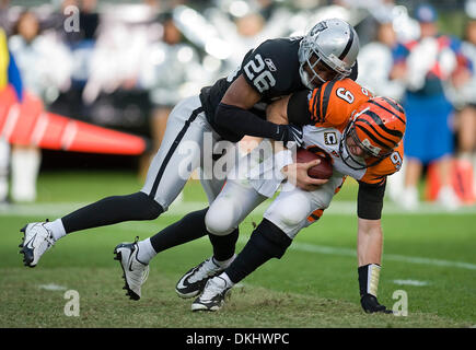 22. November 2009 - Oakland, CA, USA - Oakland Raiders Stanford Routt Säcke Cincinnati Bengals QB Carson Palmer in der zweiten Hälfte im Oakland Coliseum. (Kredit-Bild: © Paul Kitagaki Jr./Sacramento Bee/ZUMApress.com) Einschränkungen: * USA Tabloid Rechte heraus * Stockfoto