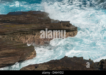 Felsformationen an der Küste, Honolulu, Oahu, Hawaii, USA Stockfoto