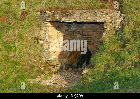 Rekonstruierten Grabkammer des Long Barrow Belas Knap Stockfoto