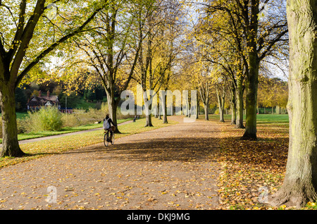 Radfahrer auf einem Pfad entlang des Flusses Severn in Quarry Park, Shrewsbury Stockfoto