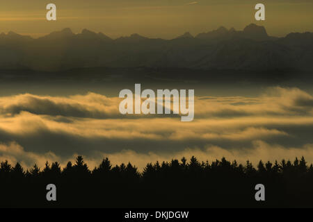 Hoechsten, Deutschland. 4. Dezember 2013. Dichter Nebel hängt über dem Bodensee kurz nach Sonnenaufgang in Hoechsten, Deutschland, 4. Dezember 2013. Foto: Felix Kaestle/Dpa/Alamy Live News Stockfoto