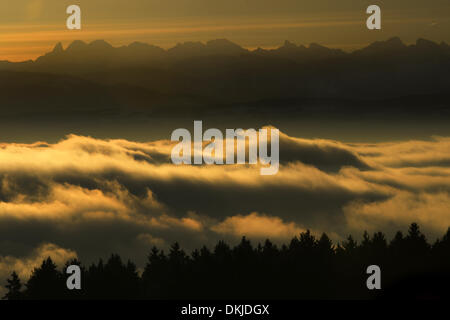 Hoechsten, Deutschland. 4. Dezember 2013. Dichter Nebel hängt über dem Bodensee kurz nach Sonnenaufgang in Hoechsten, Deutschland, 4. Dezember 2013. Foto: Felix Kaestle/Dpa/Alamy Live News Stockfoto