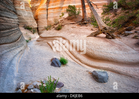 New-Mexico Kasha-Katuwe Zelt Rocks Nationalmonument Stockfoto