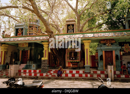 Reisen Fotografie - Hinduistische baum Tempel in Chennai Madras in Tamil Nadu in Indien, Südasien. Religion religiöse Gebäude Lifestyle Architektur Kitsch Stockfoto