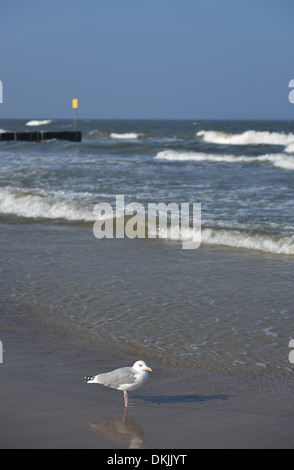 Sandstrand, Kolberg, Polen Stockfoto