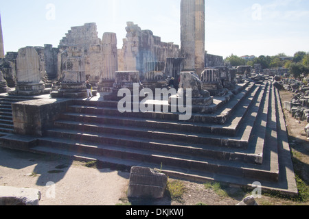 Der Apollo-Tempel in Didyma, Türkei Stockfoto