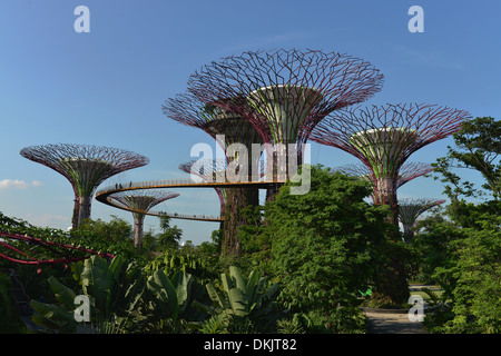 Gardens by the Bay, Singapur Stockfoto