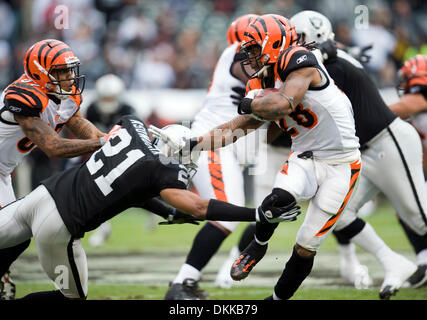 22. November 2009 versucht - Oakland, CA, USA - Oakland Raiders Nnamdi Asomugha gegen die Cincinnati Bengals Bernard Scott in der ersten Hälfte im Oakland Coliseum. (Kredit-Bild: © Paul Kitagaki Jr./Sacramento Bee/ZUMApress.com) Einschränkungen: * USA Tabloid Rechte heraus * Stockfoto