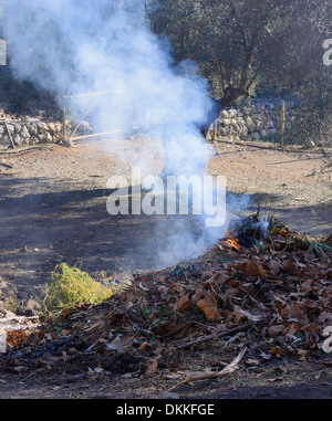 Garten Reinigung der trockenen Blätter, Kräuter in einem Freudenfeuer auf Mallorca. Stockfoto