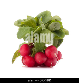 Kleine Radieschen mit Blättern isoliert auf weißem Hintergrund Ausschnitt Stockfoto