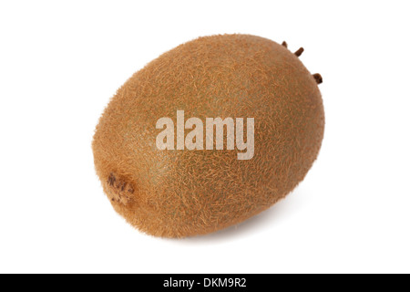 Kiwifrucht isoliert auf weißem Hintergrund Stockfoto