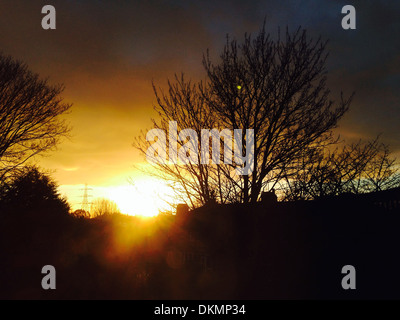 Winter-Morgendämmerung mit Bäumen in der Silhouette mit Stromleitungen in der Ferne. Stockfoto