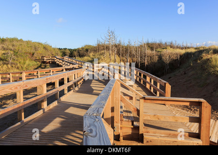 Neuen Holzsteg führt vom Strand zum Parkplatz in Newborough Wald, Isle of Anglesey, North Wales, UK, Großbritannien Stockfoto