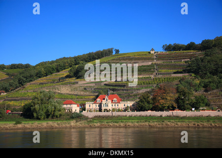 Blick über den Fluss Elbe an Weinbergen in der Nähe von Meißen, Sachsen, Deutschland Stockfoto