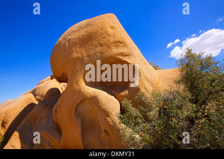Skull Rock im Joshua Tree National Park Mohave Wüste Yucca Valley Kalifornien USA Stockfoto