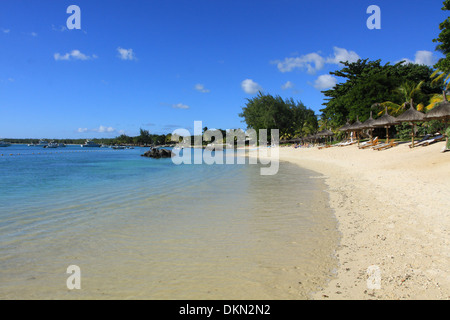 Koh Samui Beach Thailand Choeng Mon Beach Palm Stockfoto