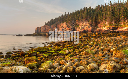 Moosig, abgerundeten Steinen am Boulder Beach mit Blick auf den Otter Klippen bei Sonnenaufgang im Acadia National Park, Maine Stockfoto