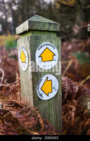 Shropshire County Council öffentlichen Fußweg Schild nahe Knighton Powys Wales UK Stockfoto