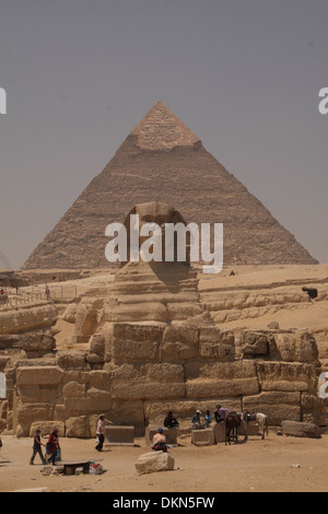 Die große Sphinx @Giza - Ägypten / östlich der großen Pyramide. Stockfoto