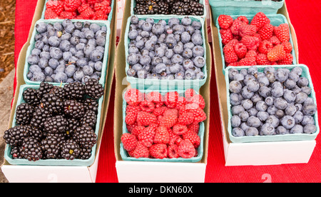 Frisch gepflückte Anzeige der Beeren auf dem Bauernmarkt Stockfoto