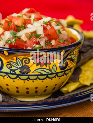 Eine schicke Schale mit Nacho-Mais-Chips und frische Zwiebel-Tomaten-salsa Stockfoto