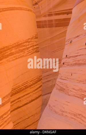 Zebra slot Canyon, Grand Staircase Escalante National Monument, Utah, USA Stockfoto