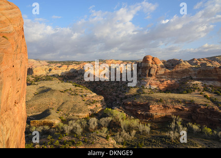 Escalante River Canyon, Grand Treppe Escalante National Monument, Utah, USA Stockfoto