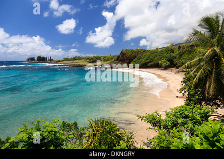 USA, Hawaii, Maui, Straße nach Hana, Küstenlandschaft in der Nähe von Keanae Halbinsel Stockfoto