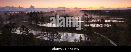 Neblige Sumpf-Landschaft bei Sonnenaufgang am Morgen Stockfoto