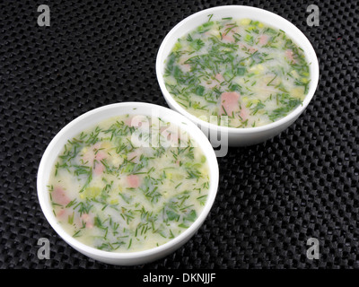 Russische kalte Gemüsesuppe auf Joghurt (saure Milch) Basis - Lauchzwiebel Stockfoto
