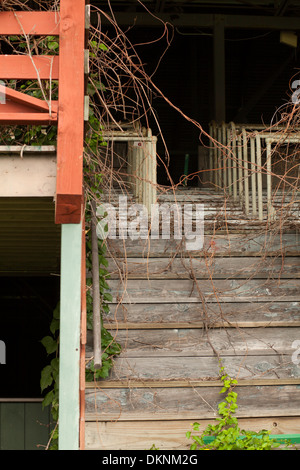 Treppe zu den Ständen von einer verlassenen Pferderennbahn am alten Messegelände in Great Barrington, Massachusetts Stockfoto