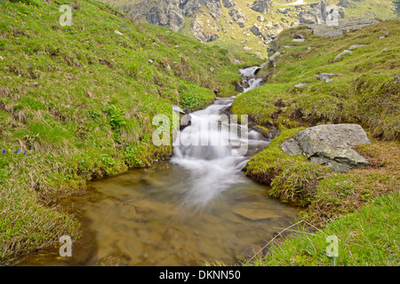 Kleinen Bach fließt unter Felsen und saftig grüne Wiesen, mit langsamen Verschlusszeit aufgenommen. Ort: Westalpen, Piemont, Italien Stockfoto